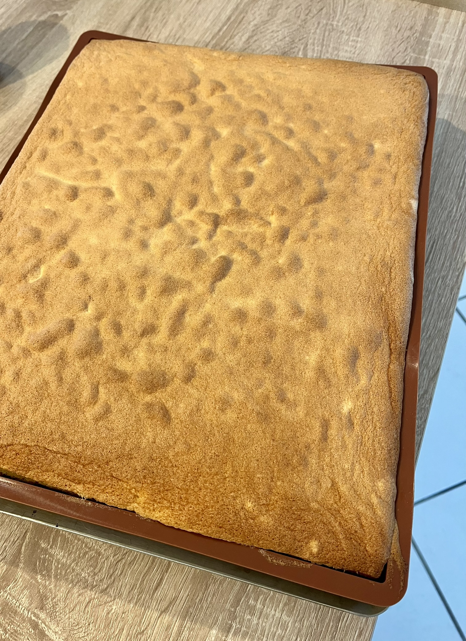Biscuit madeleine doré cuit dans un cercle à pâtisserie de 20 cm